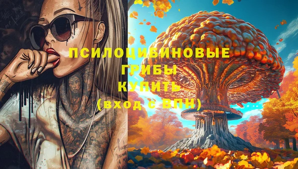 шишки Балахна